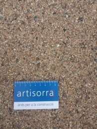 muestra arena de gunite (1)