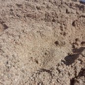 WhatsApp Image 2020-09-28 at 12.54.07 (2)